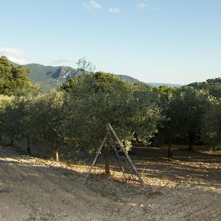 Mas Provencal La Serallere Au Coeur Des Oliviers Venterol  Luaran gambar