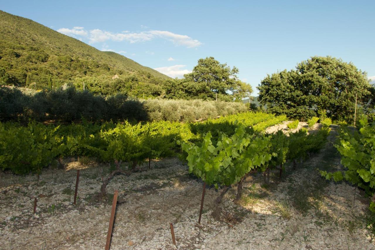 Mas Provencal La Serallere Au Coeur Des Oliviers Venterol  Luaran gambar