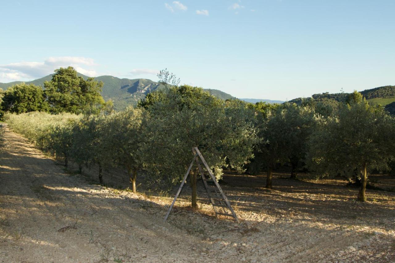Mas Provencal La Serallere Au Coeur Des Oliviers Venterol  Luaran gambar