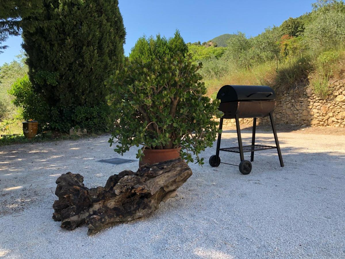 Mas Provencal La Serallere Au Coeur Des Oliviers Venterol  Luaran gambar